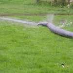 IMG_3075