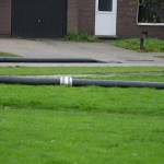 IMG_3078