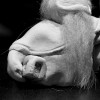 20111123_194910-IMG_6796