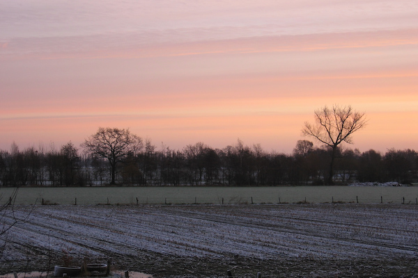 Red sky in the morning