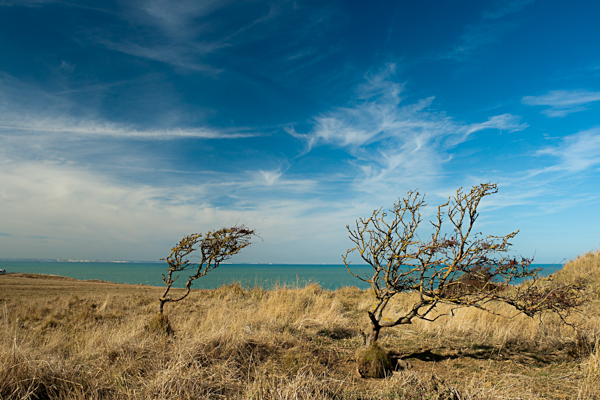Cap Gris Nez