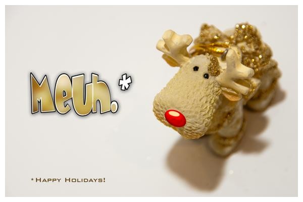 Happy Holidays!