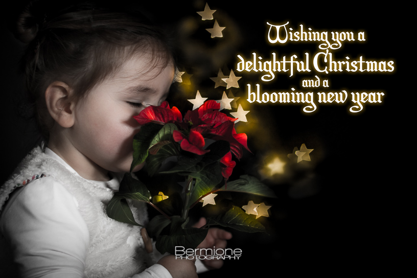Happy Holidays!